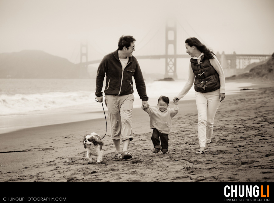 san francisco family photographer