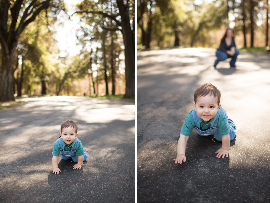 san francisco children photographer