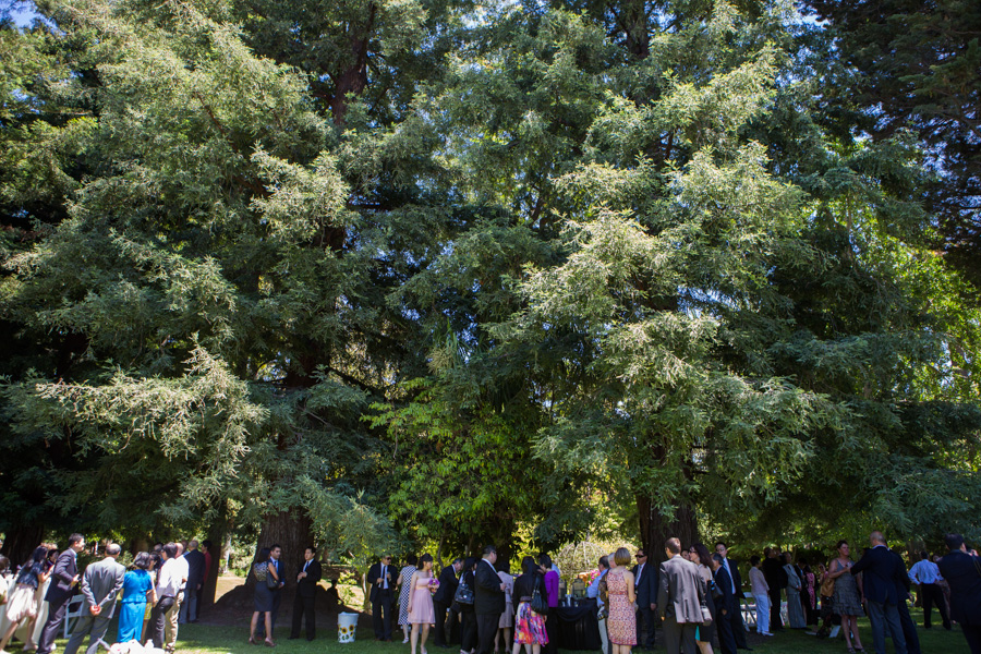 fremont palmdale estate wedding photographer 