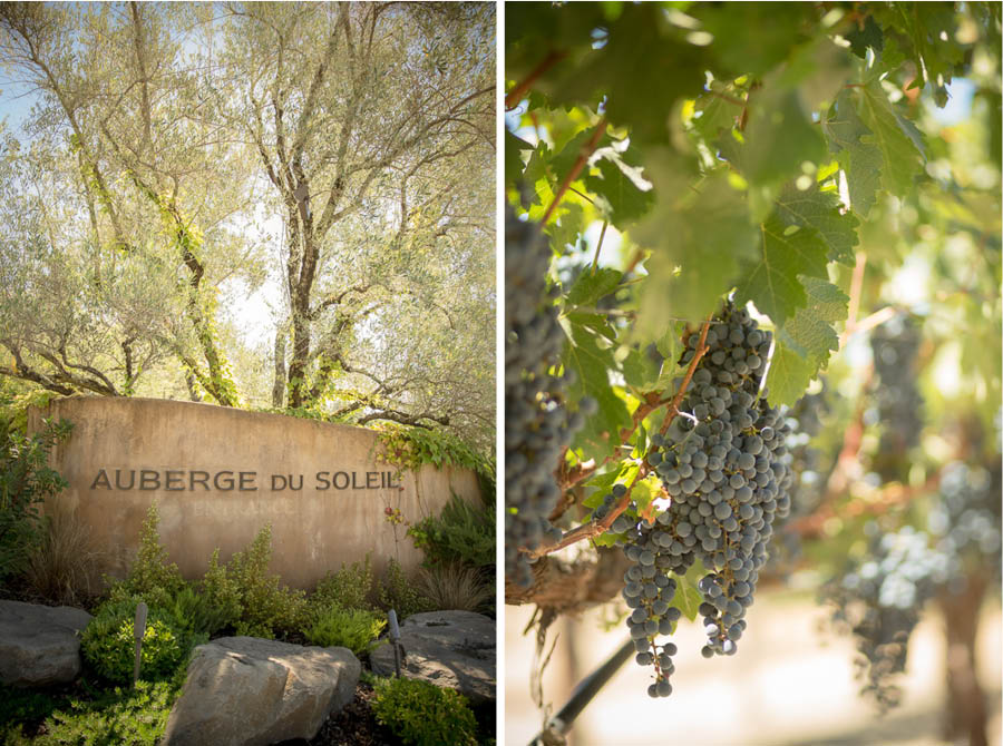 napa sonoma auberge du soleil wedding photographer 