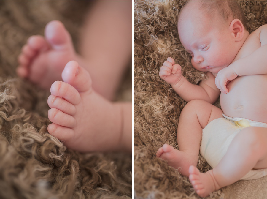 san francisco newborn baby photographer