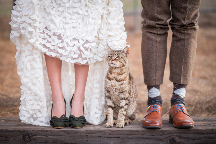 napa sonoma wedding photographer olympia valley estate wedding 