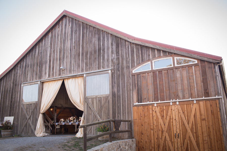 napa sonoma wedding photographer olympia valley estate wedding 