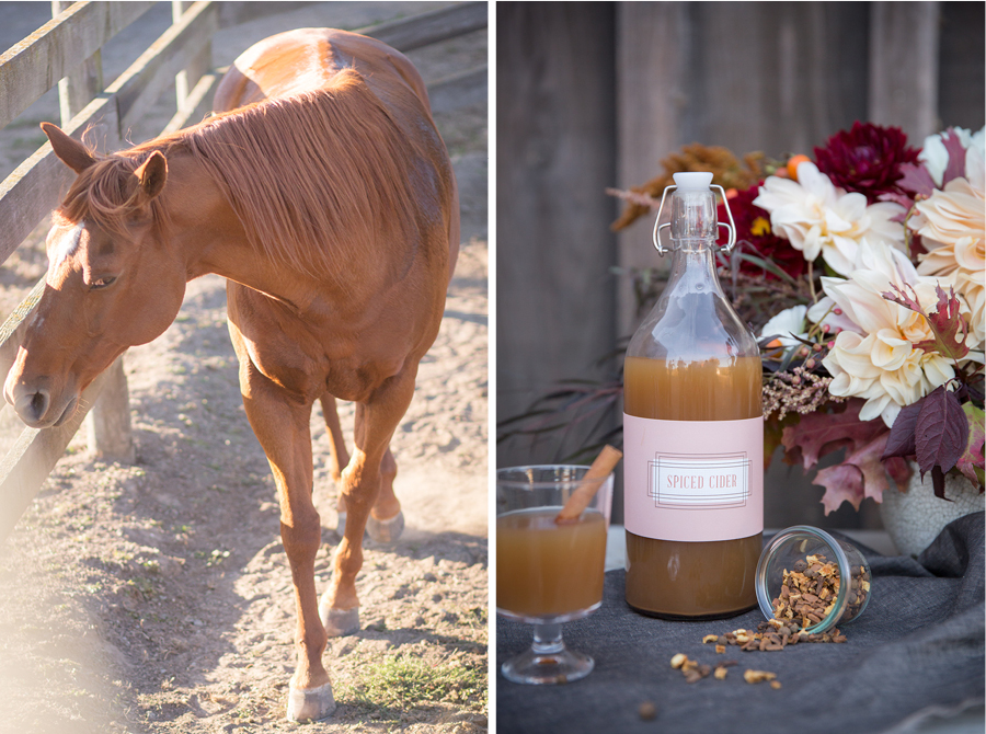 sonoma napa wedding photographer olympia valley estate