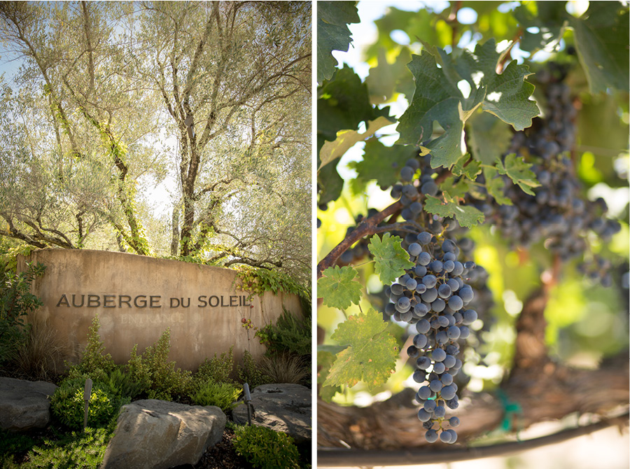 napa wedding photographer auberge du soleil wedding