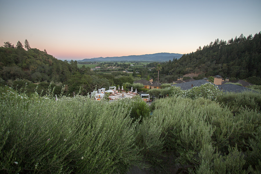 napa wedding photographer auberge du soleil wedding