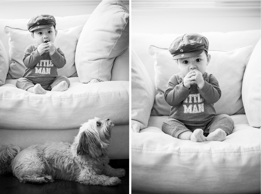 sf san jose baby family photographer 