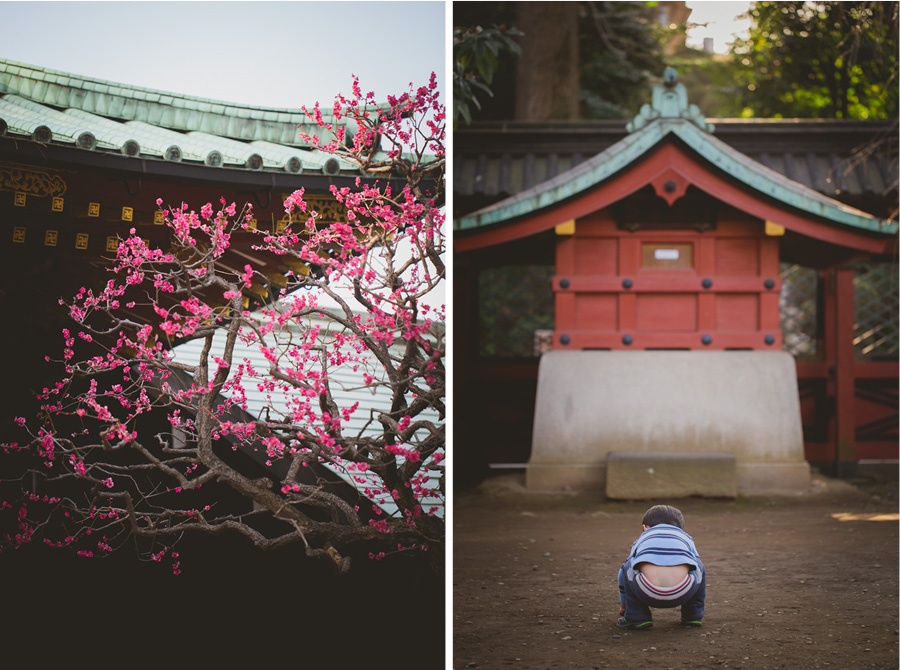 sf bay area japan tokyo bayarea family children photograper