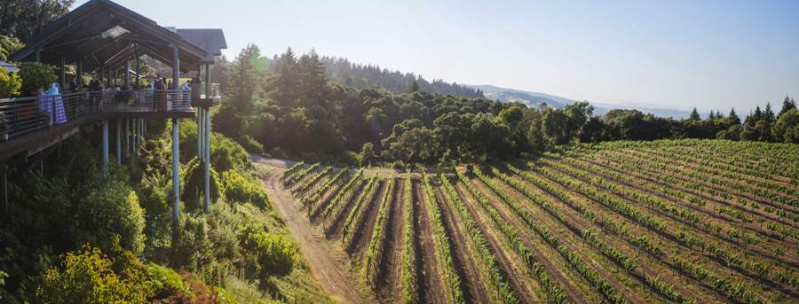 thomas fogarty winery wedding photographer 