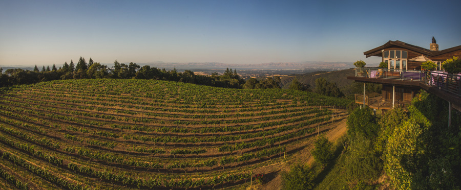 thomas fogarty winery wedding photographer 