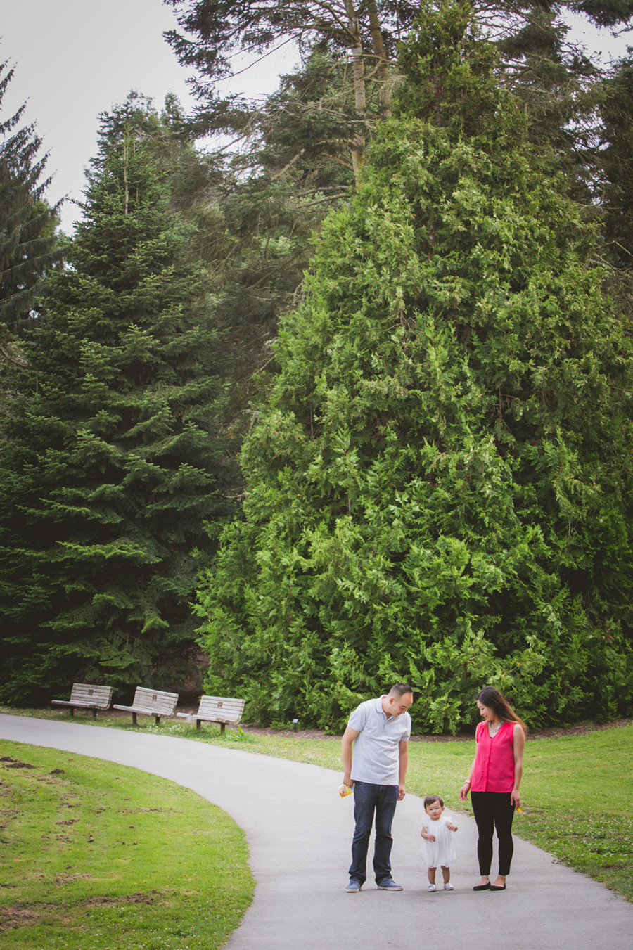 family photographer san francisco 