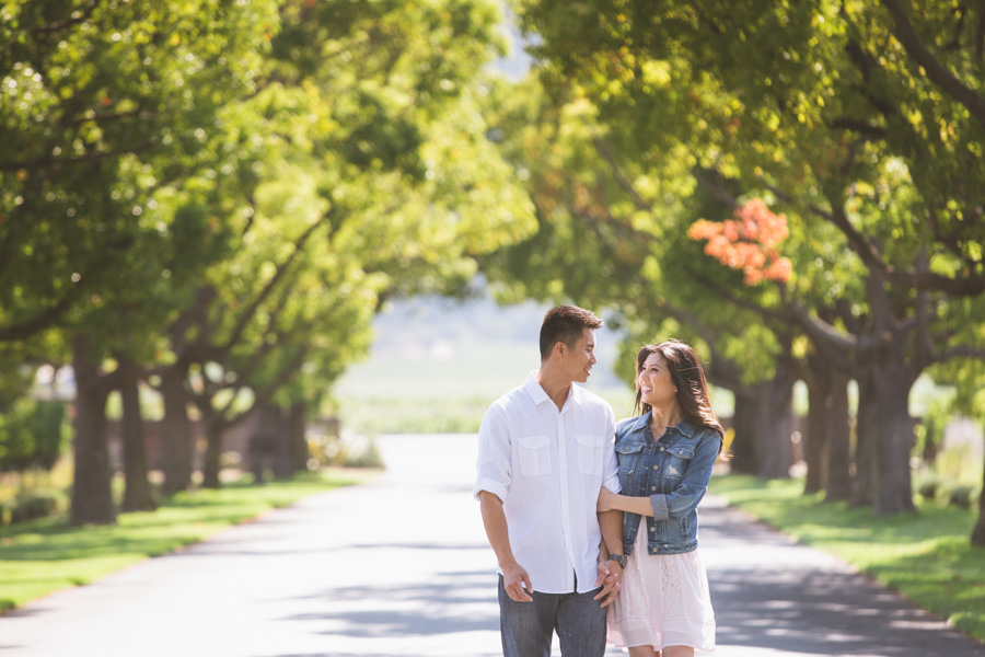 napa engagement wedding photo photographer