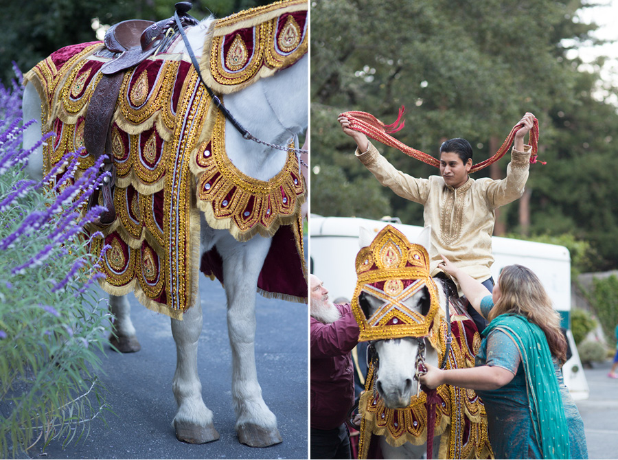 mountain terrace indian wedding san francisco 