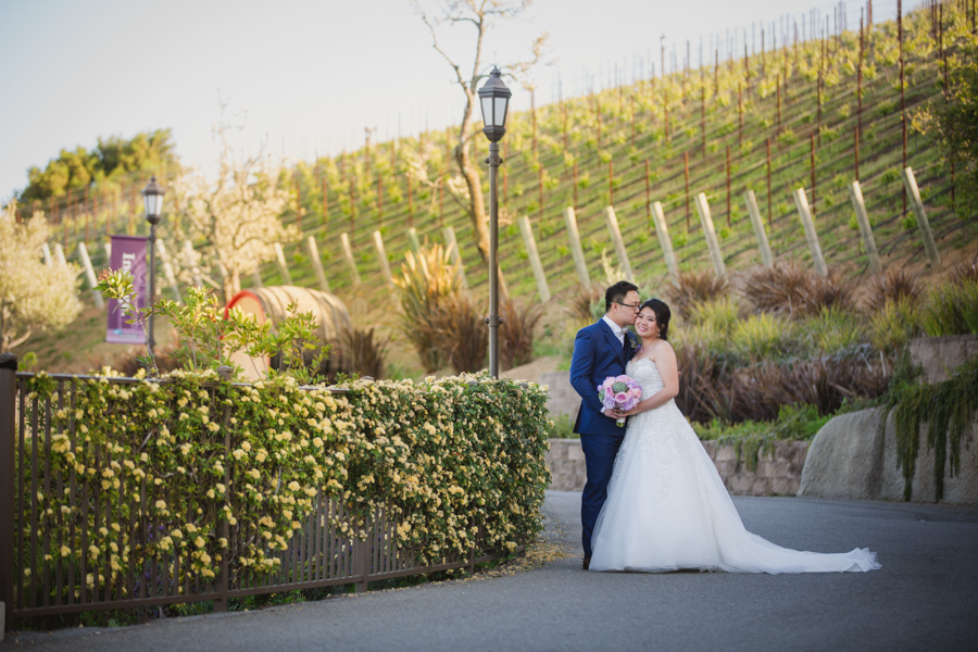 mountain winery saratoga wedding photographer -1