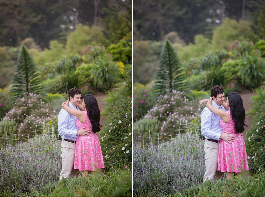 golden gate botanical garden engagement photo photographer