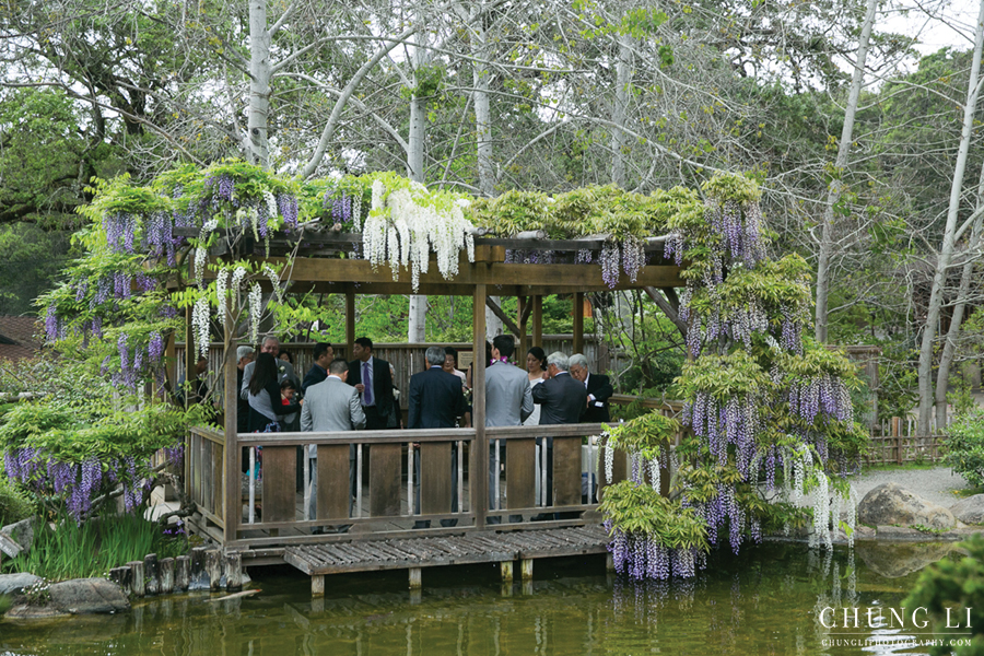 saratoga-hakone-japanese-garden-gardens-wedding-photographer-18